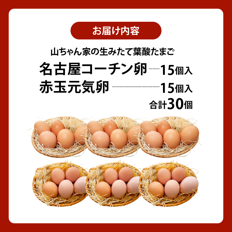 【山ちゃん家の生みたて葉酸たまご】名古屋コーチン卵・赤玉元気卵 食べ比べセット（各15個 合計30個入り）