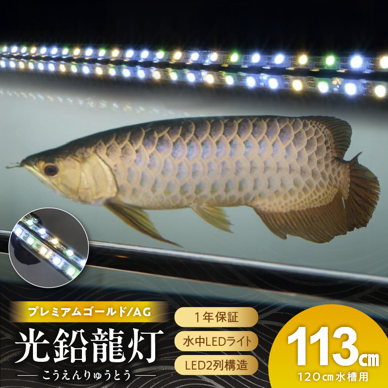 水槽全体を明るく照らし、鱗を際立たせる!金龍専用の高輝度水中ライト|AG120-EX