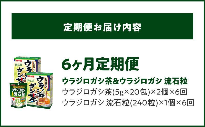 ＜6ヶ月連続定期便＞ウラジロガシ茶＆ウラジロガシ 流石粒
