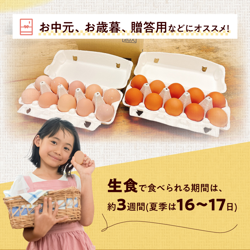 名古屋コーチン卵・仙寿卵お試しセット(各10個入り)