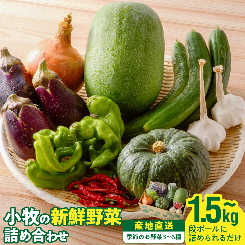 ネオコスモ農園で採れた小牧の野菜詰め合わせ　［ 新鮮 産地直送 採れたて 旬野菜 おまかせ 季節野菜 詰合せ セット 大容量 トマト ナス ピーマン かぼちゃ 冬瓜 ショウガ ネギ にんにく じゃがいも さつまいも 玉ねぎ など］