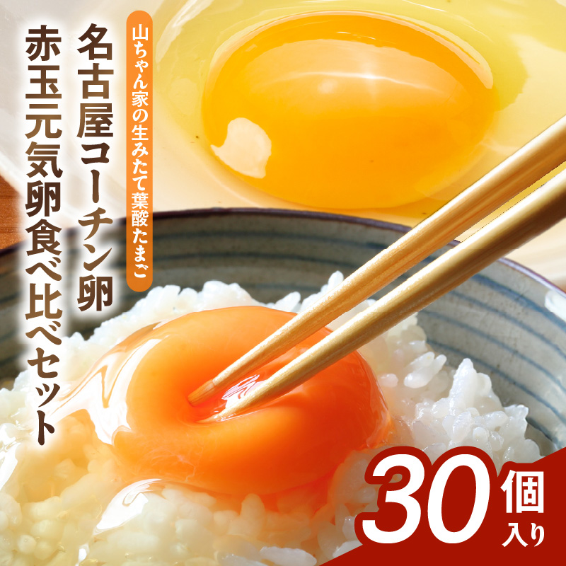 【山ちゃん家の生みたて葉酸たまご】名古屋コーチン卵・赤玉元気卵 食べ比べセット（各15個 合計30個入り）