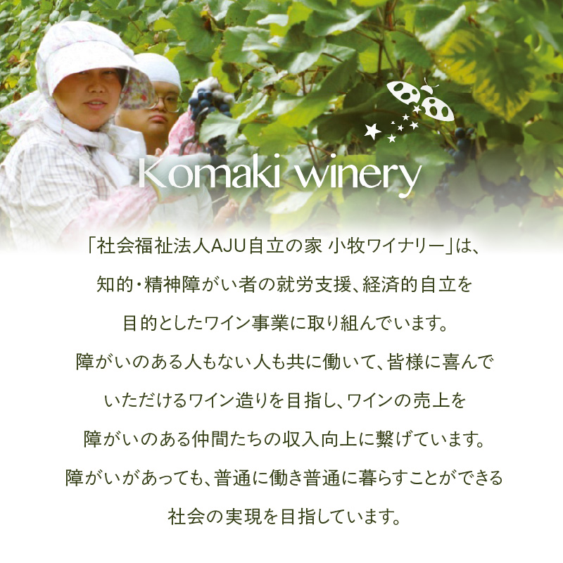 小牧ワイナリ―　赤ワイン３本飲み比べセット（小牧産ぶどう100％使用）　［ ワイン 軽口 甘口 葡萄 ぶどう ブドウ ヤマ・ソービニオン ブラック・クイーン マスカット・べーリーA 国産 酒 飲料 アルコール ギフト 贈り物 贈答 ］