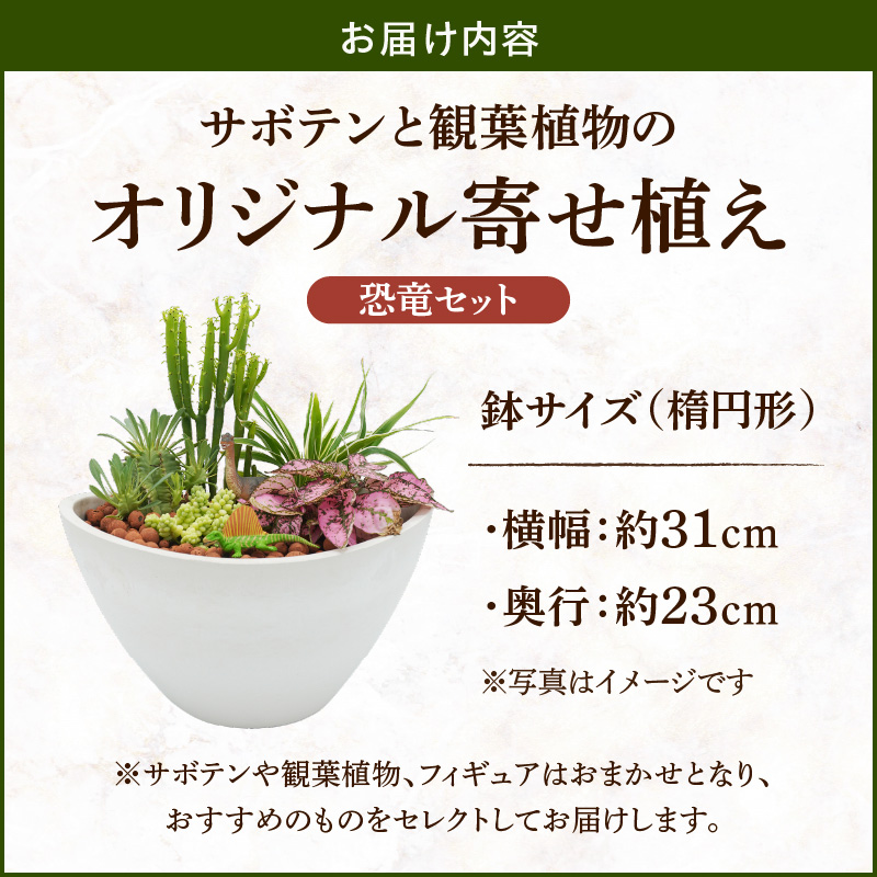 サボテンと観葉植物のオリジナル寄せ植え【恐竜セット】［ 本格サボテン 産地直送 フィギュア インテリア ギフト プレゼント オシャレ かわいい 人気 多肉植物 ］