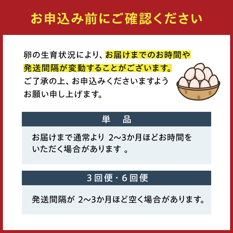 名古屋コーチン卵・仙寿卵お試しセット(各10個入り) ［006K02］