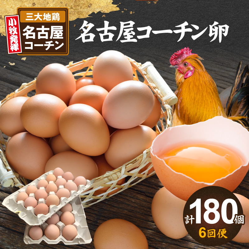 【6回便】名古屋コーチン卵(30個入り)×6回（計180個） ［006K03-T］