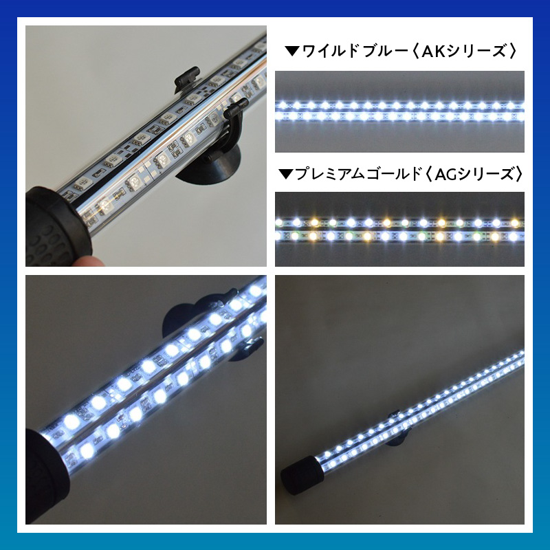 一瞬で綺麗に魅せる!金龍の青を最大限に強調する水中LEDライト|AK120-EX