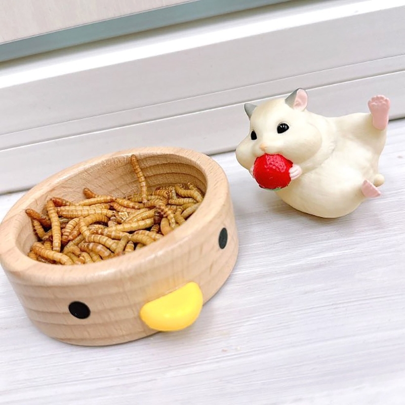 fuu オーガニックfuuミルワーム（大）［ カップ入り 生き餌 活き餌 活エサ えさ 小動物 小鳥 フード おやつ 栄養 たんぱく質 ミネラル ハリネズミ モモンガ 爬虫類 両生類 熱帯魚 ］