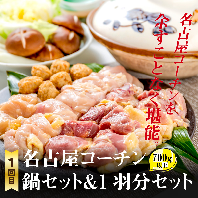【半年に1回　計2回定期便】名古屋コーチン鍋&名古屋コーチン1羽分セット・名古屋コーチン焼鳥セット 日本三大地鶏 鍋セット 鶏肉 もも肉 むね肉 ササミ 肉団子 鍋料理 焼き鳥セット ［001T08-T］