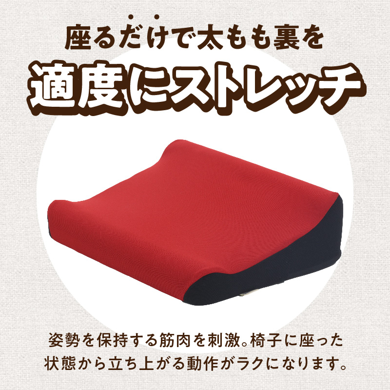 ろっかん式ストレッチクッション(レッド)