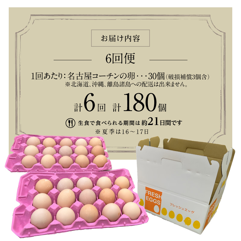 【6回便】名古屋コーチン卵(30個入り)×6回（計180個） ［006K03-T］