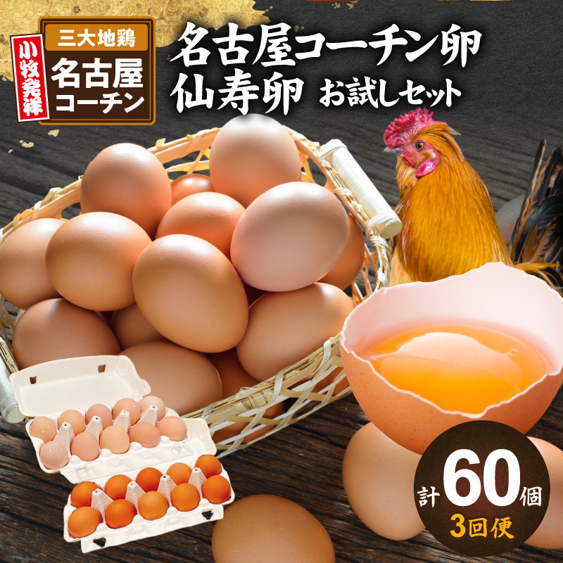 【3回便】名古屋コーチン卵・仙寿卵お試しセット（各10個入り）×3回（計各30個） ［006K02-T］