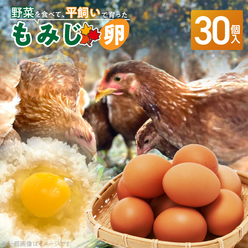 【医師監修】野菜を食べて育った平飼いの卵「もみじ卵」（30個入り）