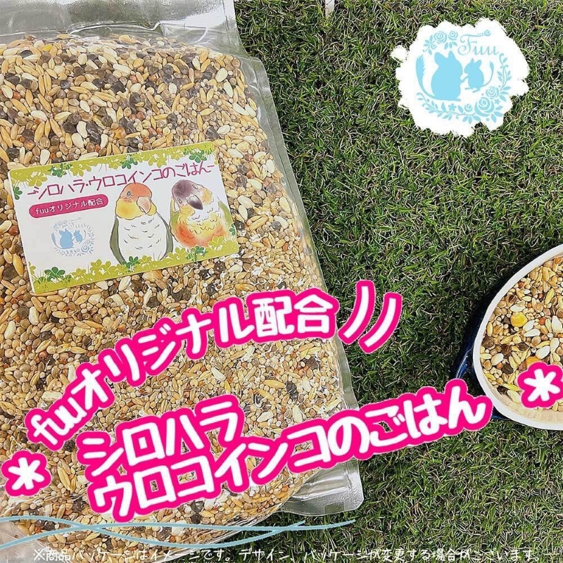 fuu シロハラインコ・ウロコインコのごはん（800g）　［ 小鳥の餌 インコ 中型インコ 餌 エサ えさ 主食 ペットフード ］