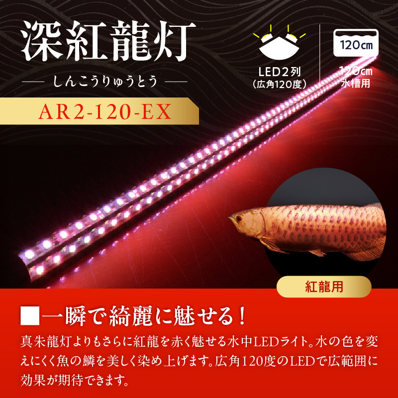 紅龍オーナー必見!一瞬でアロワナを美しく魅せる水中LEDライト|AR2-120-EX