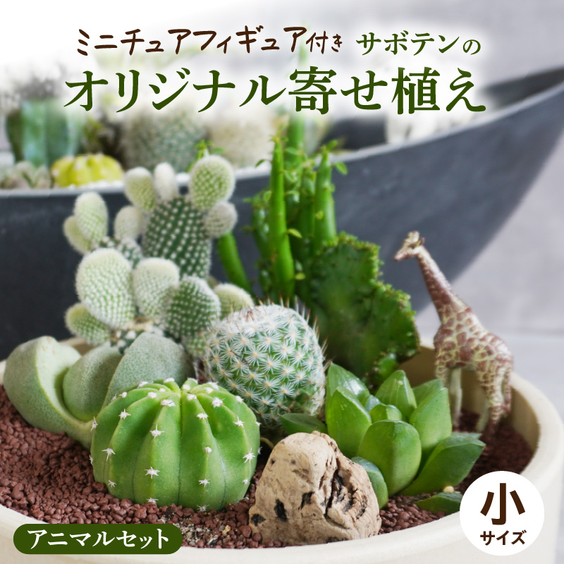 サボテンのオリジナル寄せ植え（小）【アニマルセット】