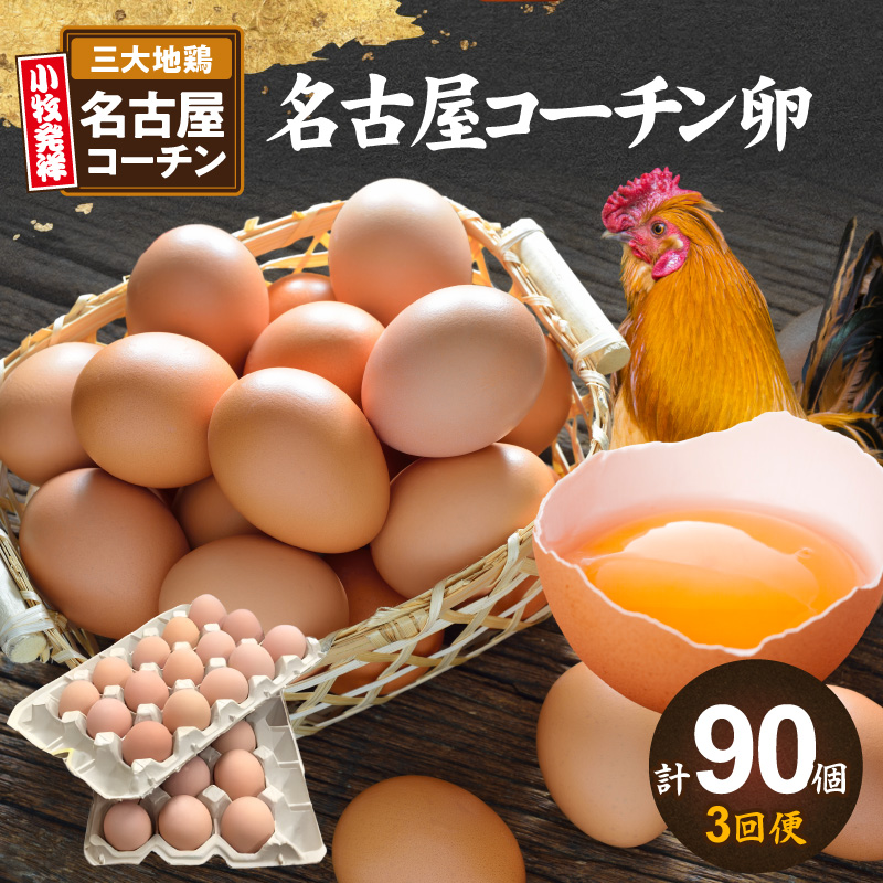 【3回便】名古屋コーチン卵(30個入り)×3回（計90個） ［006K01-T］