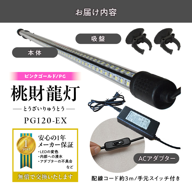 金龍の鱗を美しく照らす!ピンクゴールドの水中アロワナライト|PG120-EX