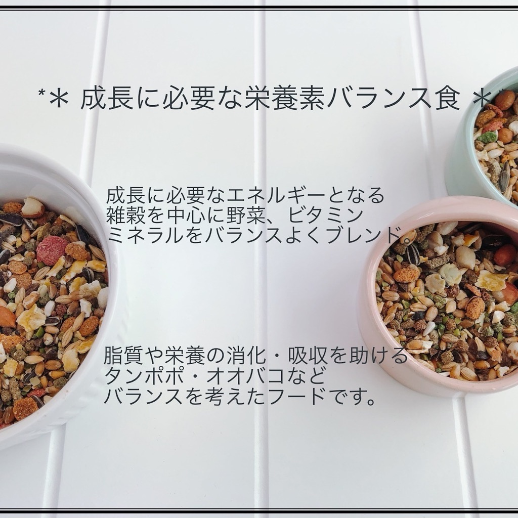 fuu うまうまセレクション リス ・ハムミックス＋（5kg）［ リス ハムスター モモンガ フード ペットフード 餌 えさ エサ 小動物用 穀物 野菜 プロポリス ミネラル 総合バランス食 脂質消化 ］