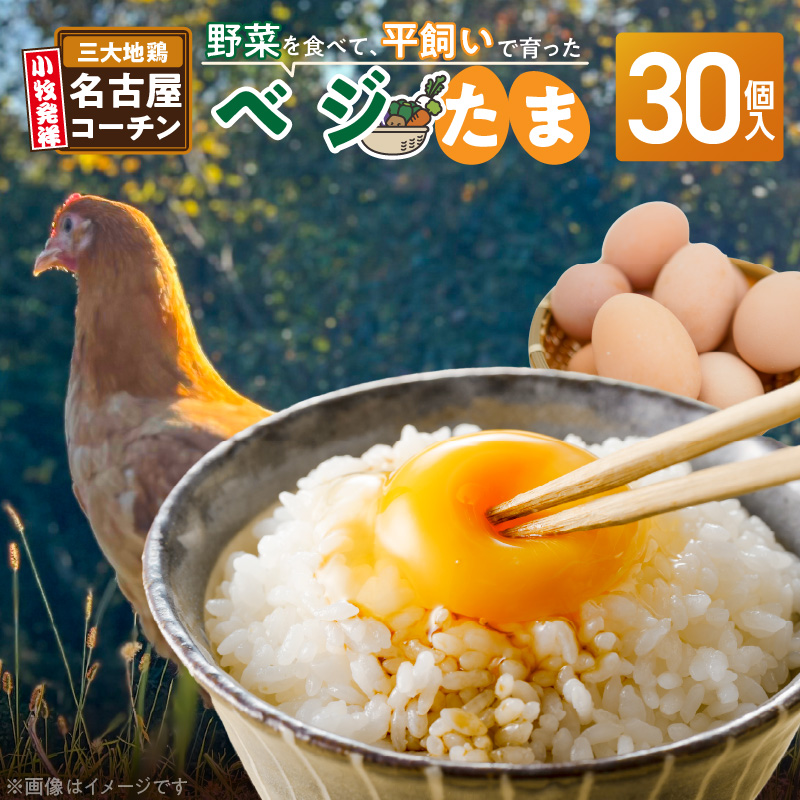 【医師監修】野菜を食べて育った平飼いの卵「名古屋コーチン ベジたま」（30個入り）