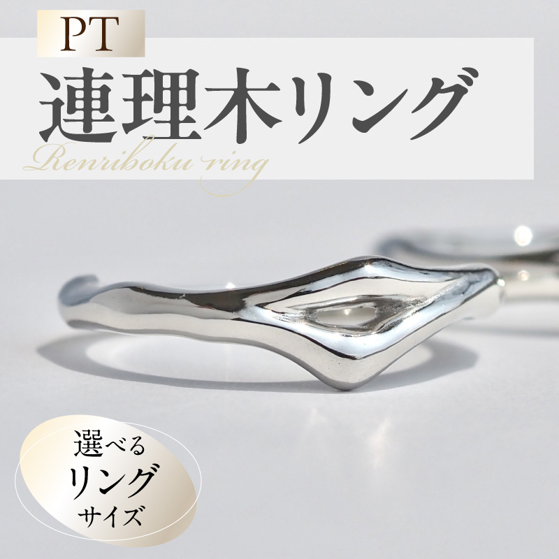 PT連理木リング〈1.8mm-5.3mm幅〉(9号) ［016K32-04］