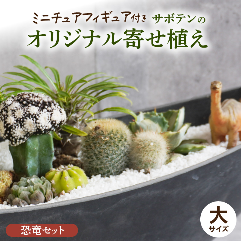 サボテンのオリジナル寄せ植え（大）【恐竜セット】