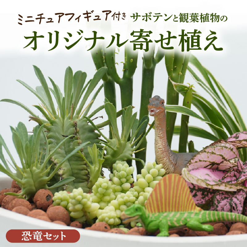 サボテンと観葉植物のオリジナル寄せ植え【恐竜セット】［ 本格サボテン 産地直送 フィギュア インテリア ギフト プレゼント オシャレ かわいい 人気 多肉植物 ］