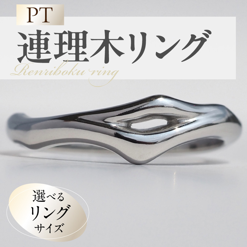 PT連理木リング〈2.5mm-5.5mm幅〉(21号) ［016K33-11］