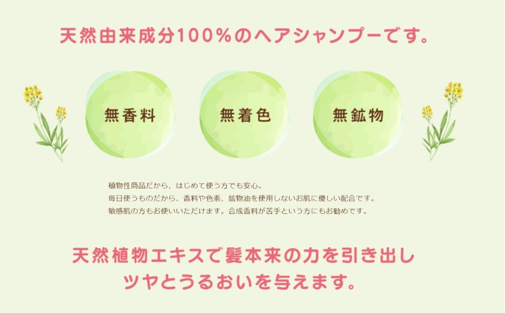 100%天然のヘアシャンプー「夢見るシャンプー」300ml 3本セット