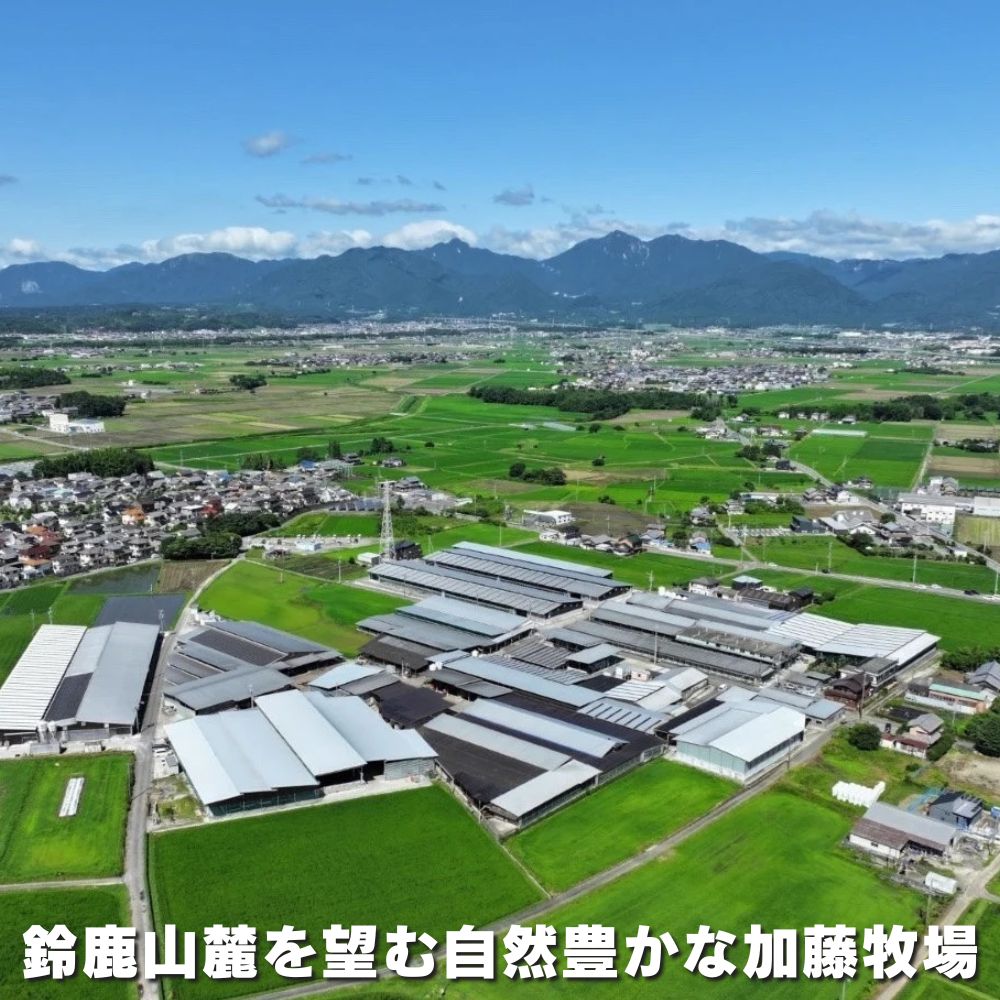 ＜定期便＞松阪牛の品評会で最優秀賞受賞歴のある 加藤牧場の黒毛和牛 ロース・肩ロース 1kg　【５回発送】/ 牛肉　国産牛　黒毛和牛　ロース　肩ロース　肉　上質　人気　おすすめ　三重県