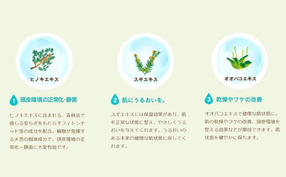 100%天然のヘアシャンプー「夢見るシャンプー」300ml 3本セット