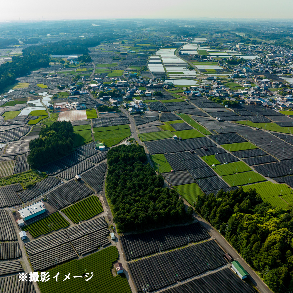 ドローン撮影コンテスト・グランプリ受賞者が、インストラクターとなって写真・動画撮影をサポートする、感動のドローン撮影体験（初心者歓迎 ）～水沢茶畑風景（ 1 組様）【ドローン ドローン撮影 ドローン撮影体験 体験 コンビナート夜景 夜景 グランプリ受賞 グランプリ 感動 動画 夜景遺産 日本夜景遺産 三重県 四日市市 四日市】