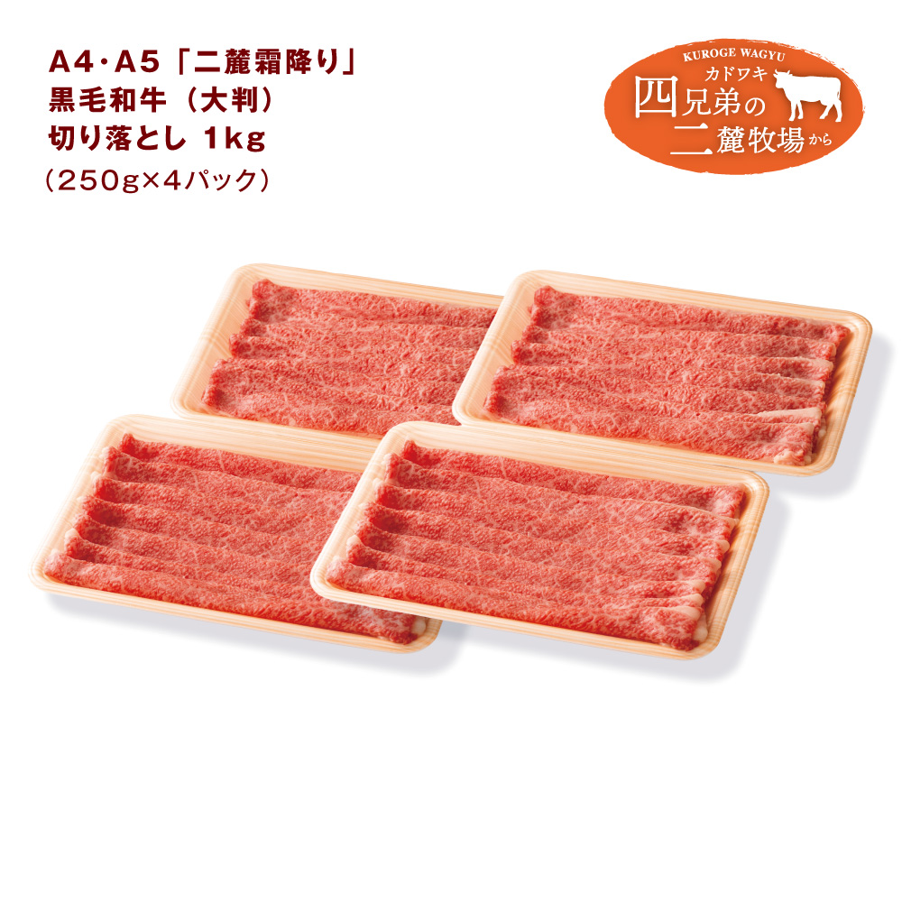 A4･A5「二麓（にろく）霜降り」黒毛和牛（大判）切り落とし 1kg（250g×4）ニセコ連峰と鈴鹿山脈、二つの麓（ふもと）で育てた脂の質にこだわった美味しい霜降りをリーズナブルに│牛肉 国産牛 ブランド牛 冷凍便 大容量 年末年始 お正月 焼肉 しゃぶしゃぶ すき焼き 三重県 四日市市 ふるさと納税