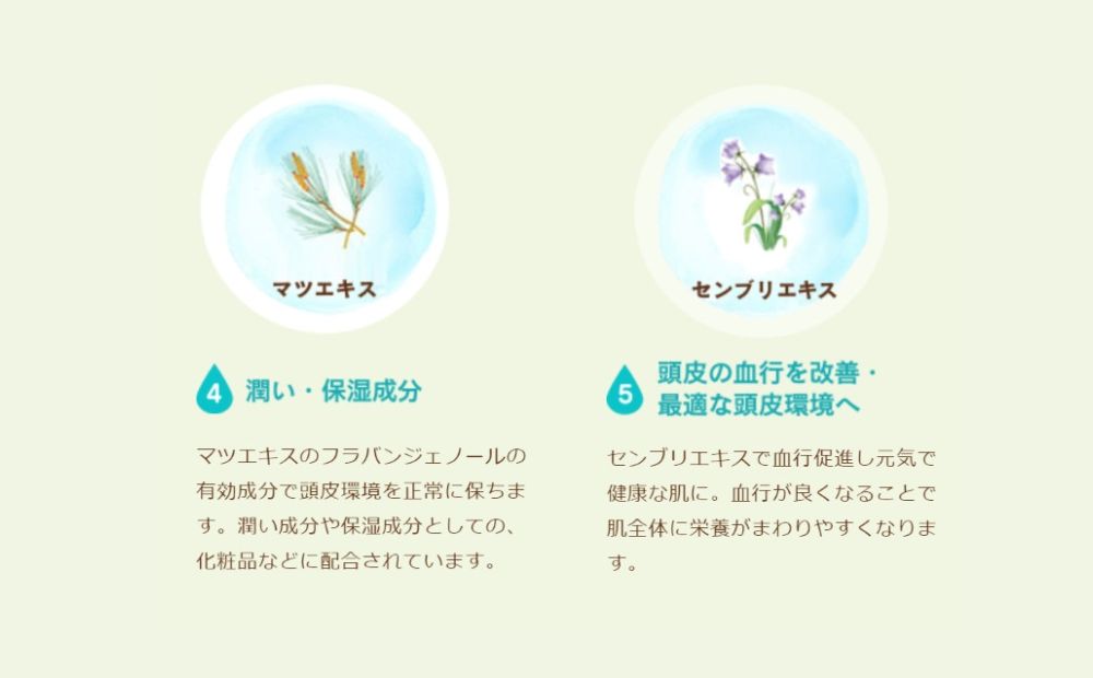 100%天然のヘアシャンプー「夢見るシャンプー」300ml 3本セット