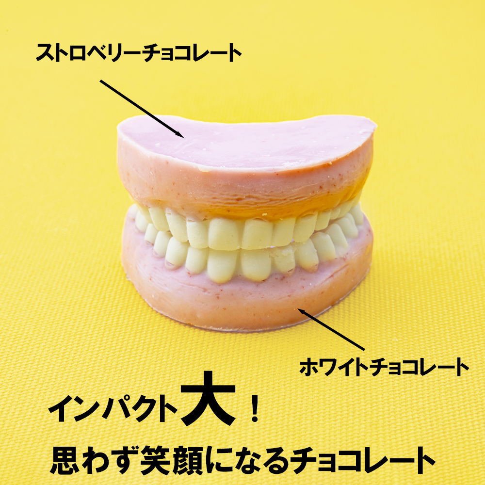 ハロウィン・バレンタインデーチョコレートのニューウェーブ。あなたと一緒にいればー「入れ歯チョコレート」（１０個セット）ハロウィンの仮装に。バレンタインデーのサプライズに。【チョコ チョコレート サプライズ ギフト 贈り物 ハロウィン バレンタイン プレゼント ストロベリー 苺チョコ おいしい 楽しい 仮装 ファミリー 家族 パーティ こども 三重県 四日市市 ふるさと納税】
