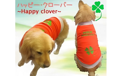 超大型犬用 犬服 【男の子用】