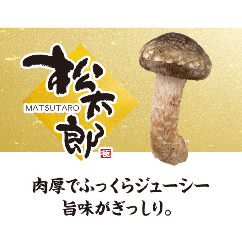 【新しいキノコ　伊勢の国「松太郎」】松太郎ギフト（生詰め合わせ）（夏季冷蔵便対応）