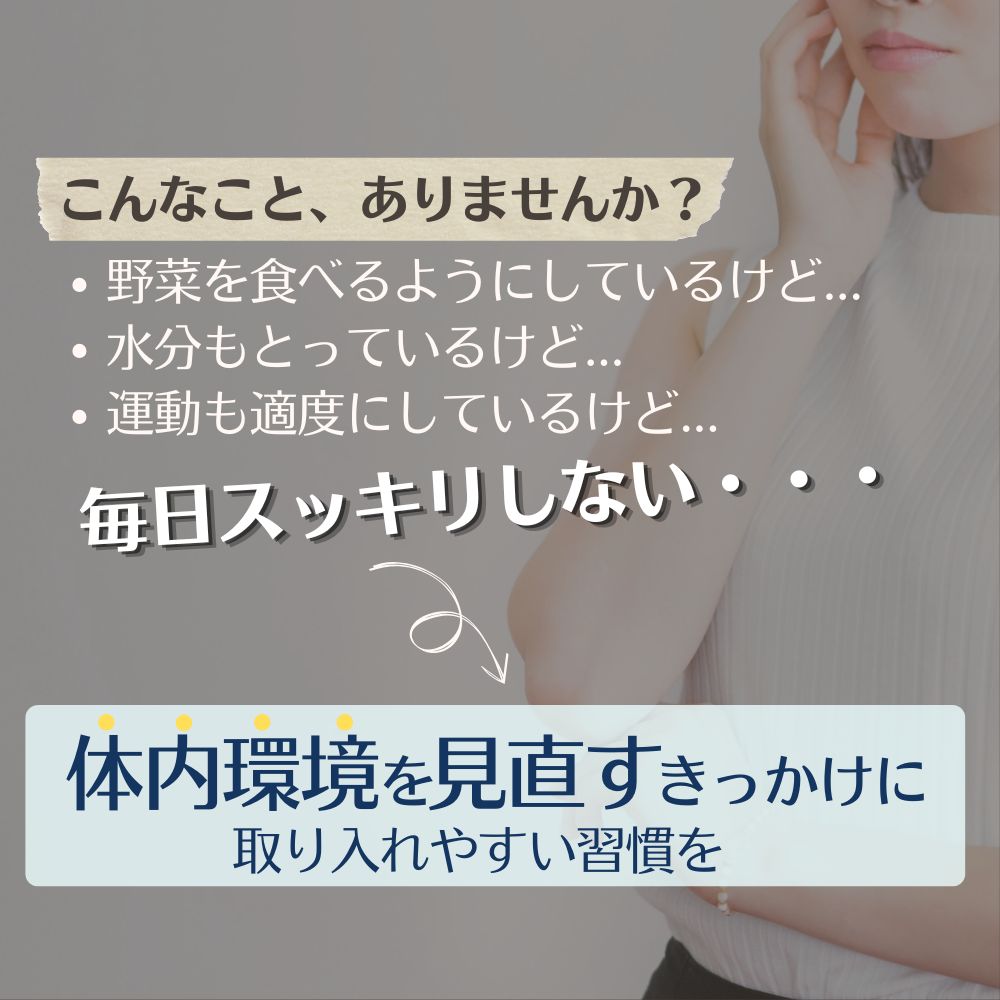 ＜定期便6ヶ月＞TVで話題！ グアーガム分解物 サンファイバープラス（粉末スティック）6g×30包【2箱セット】 │水溶性食物繊維 酪酸菌 医療 介護 シンバイオティクス プレバイオティクス プロバイオティクス 発酵性食物繊維 健康食品 サプリ 個包装 太陽化学 三重県 四日市市 ふるさと納税