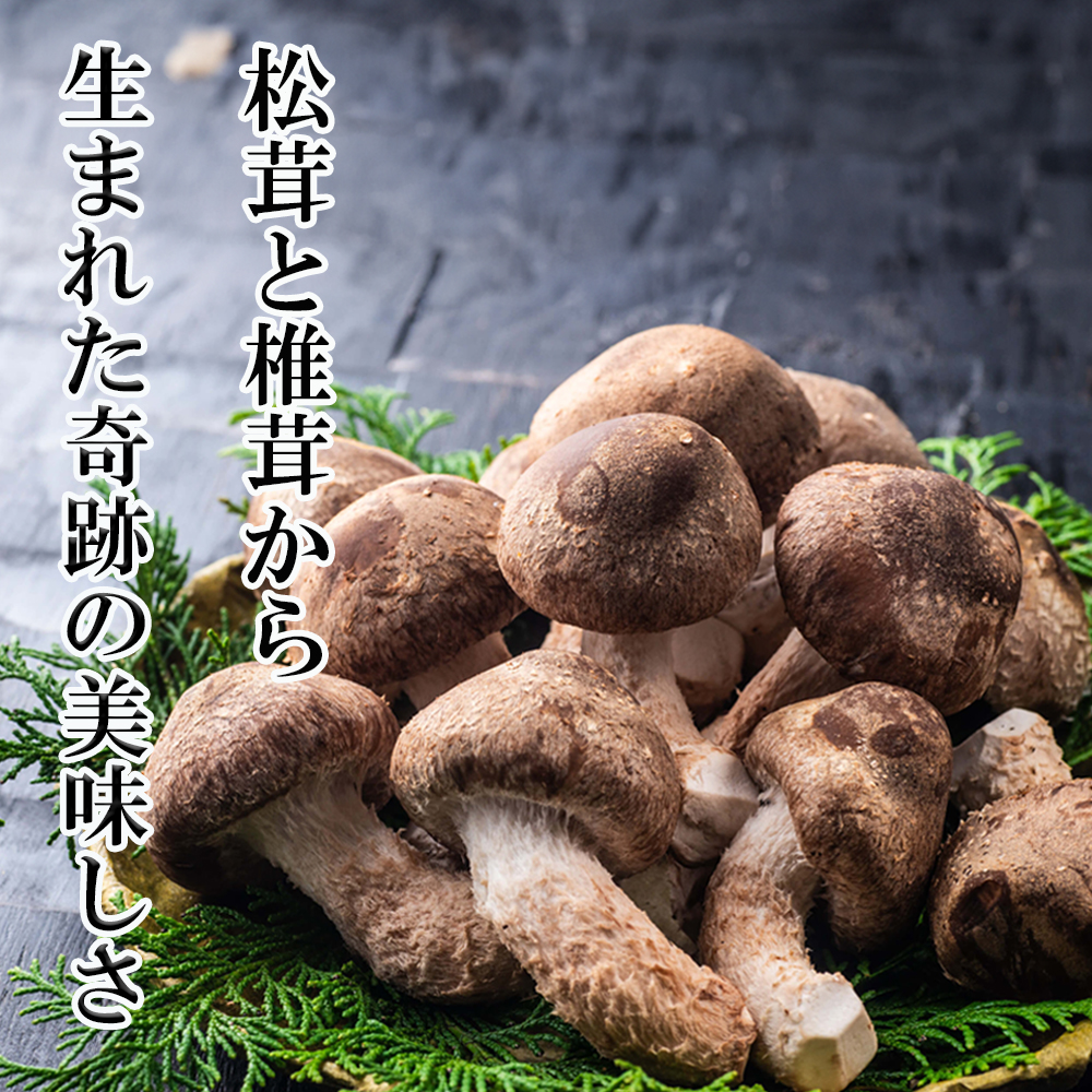 松太郎と松太郎ジャーキー詰め合わせ（夏季冷蔵便対応）