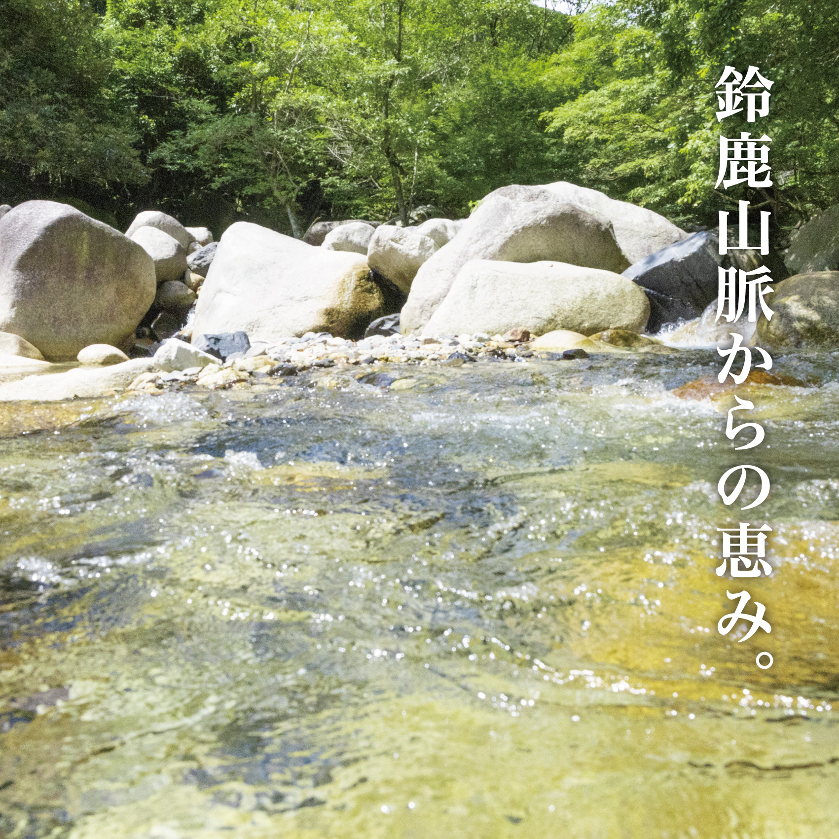 イオンセレクト 地酒飲み比べセット（３本セット）イオンリテール【純米酒 日本酒 お酒 酒 地酒 さけ 宮﨑本店 伊藤酒造 丸彦酒造 セット 詰め合わせ 詰合せ アソート ギフト 贈答用 自分用 家族用 プレゼント】