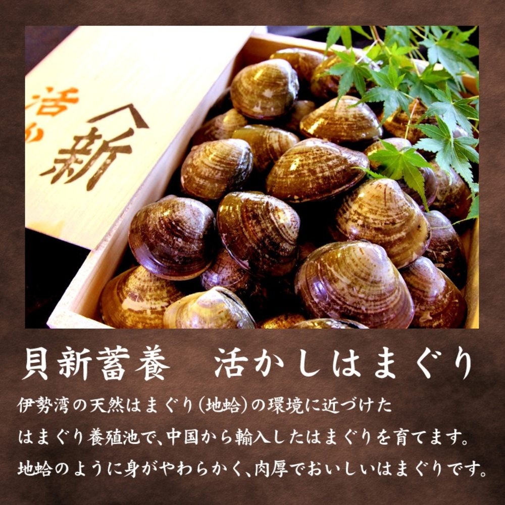 貝新畜養 活かしはまぐり （極上サイズ）2kg 木箱入り
はまぐり ハマグリ 蛤