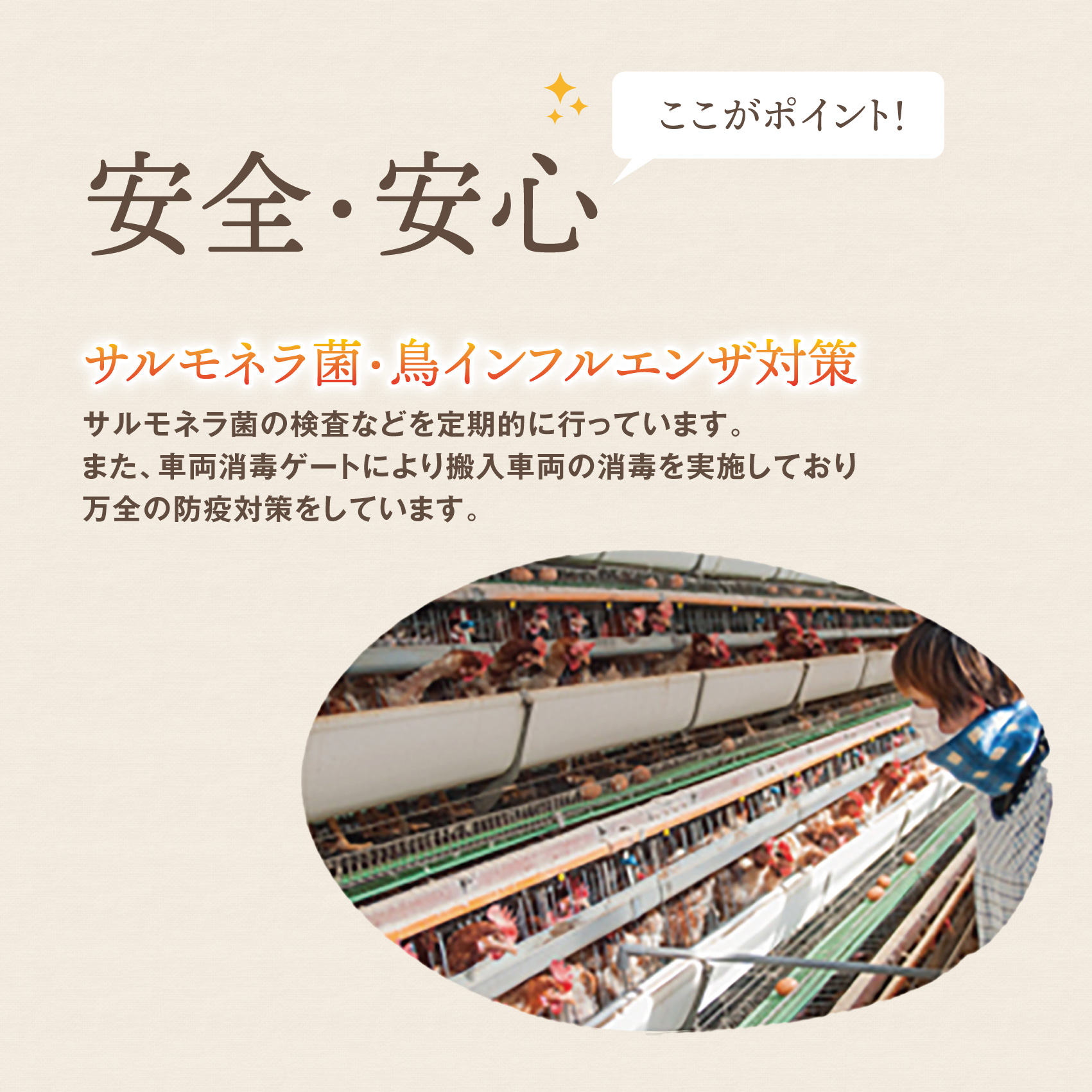 厳選された飼料と鈴鹿山麓の銘水で育った、美味しい卵「きららの里」を新鮮な状態でお届けします。50個（45個＋卵割れ保障5個）【たまご 卵 きららのさと きららの里 50個 おいしい 濃厚 玉子 玉子焼き 卵焼き たまごかけご飯 ゆでたまご 生卵 鶏卵 四日市 日用品 国産 純国産 鶏 ミネラル 赤玉】
