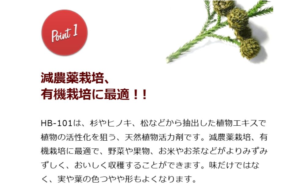 HB-101 セット