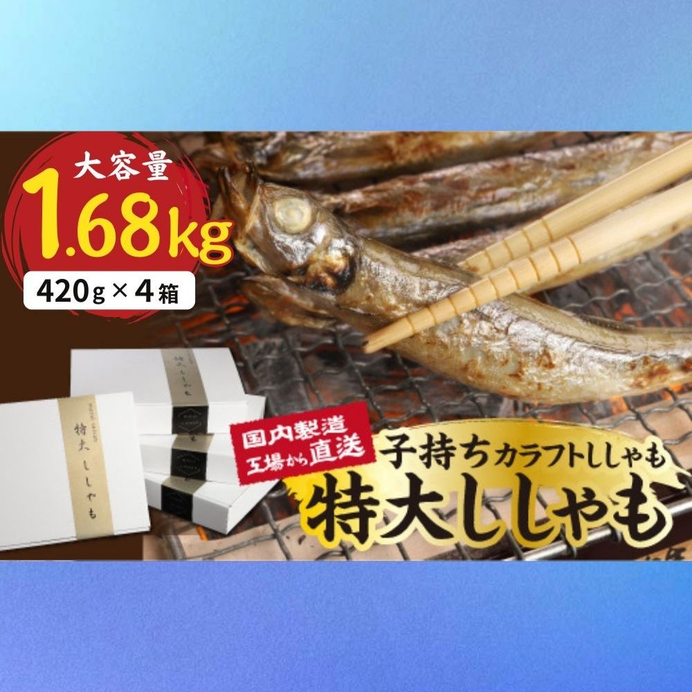 国内加工　特大ししゃも　4箱セット