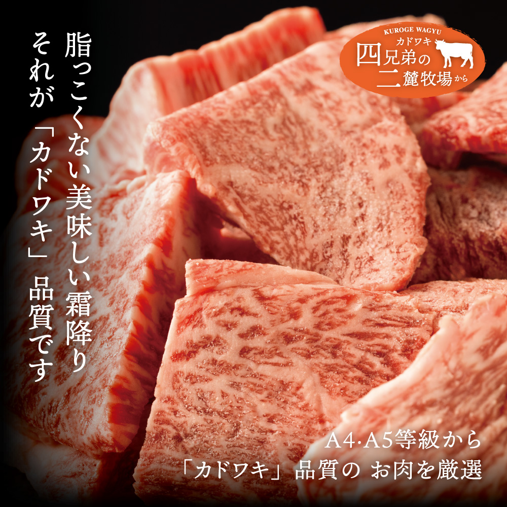 A4･A5「二麓（にろく）霜降り」黒毛和牛（大判）ひとくちステーキ 500g（250g×2） ニセコ連峰と鈴鹿山脈、二つの麓（ふもと）で育てた脂の質にこだわった美味しい霜降りをリーズナブルに│牛肉 国産牛 ブランド牛 冷凍便 年末年始 お正月 焼肉 BBQ 三重県 四日市市 ふるさと納税
