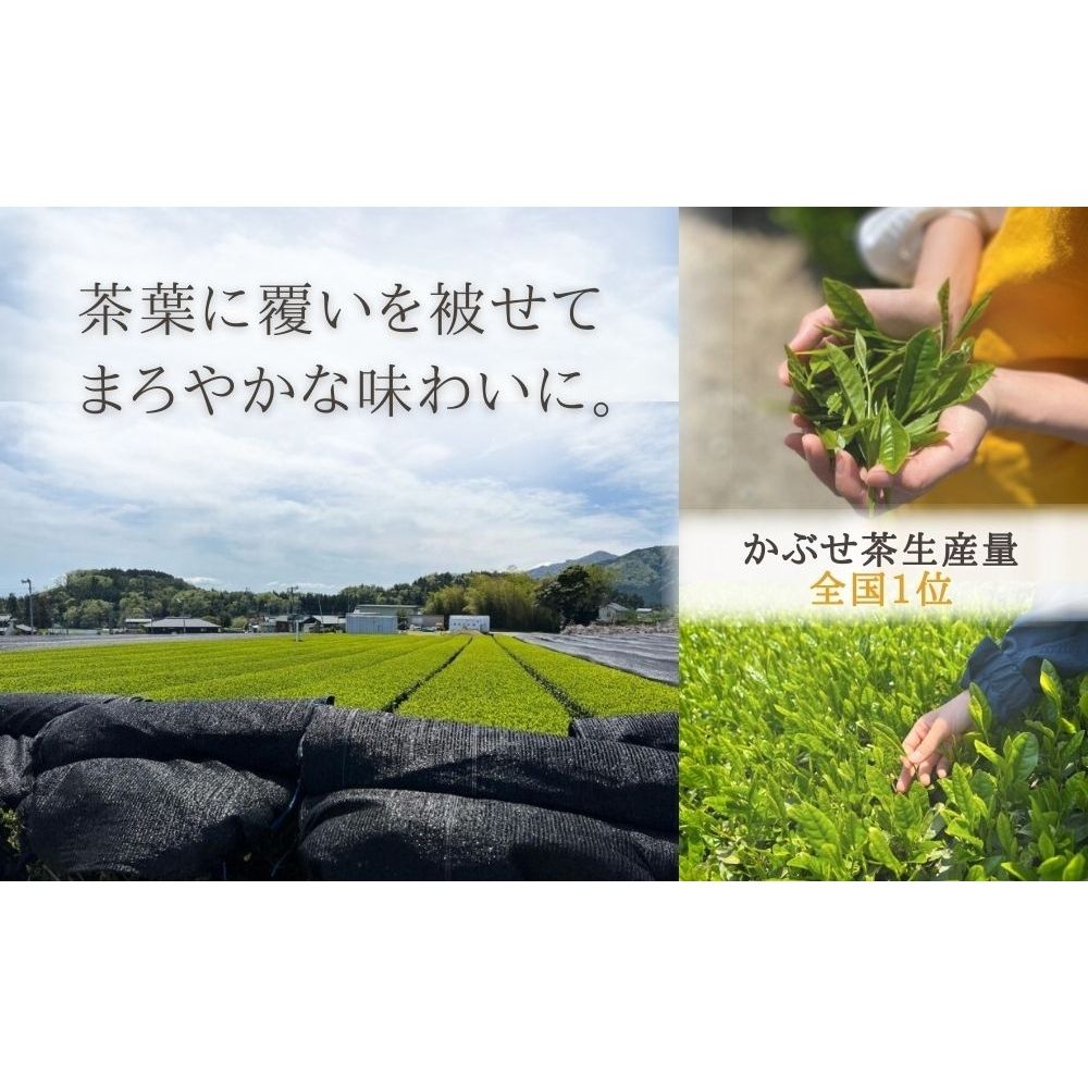 保存料・着色料は使用せず、三重県産高級小麦粉を使ったHideka.5のパウンドケーキ　かぶせ茶と黒豆のパウンドケーキ　フルサイズ1本　Hideka.5【パウンドケーキ お取り寄せ グルメ スイーツ お菓子 おやつ 洋菓子 ケーキ かぶせ茶 お茶 黒豆 ギフト 贈り物 三重県 四日市市 四日市】