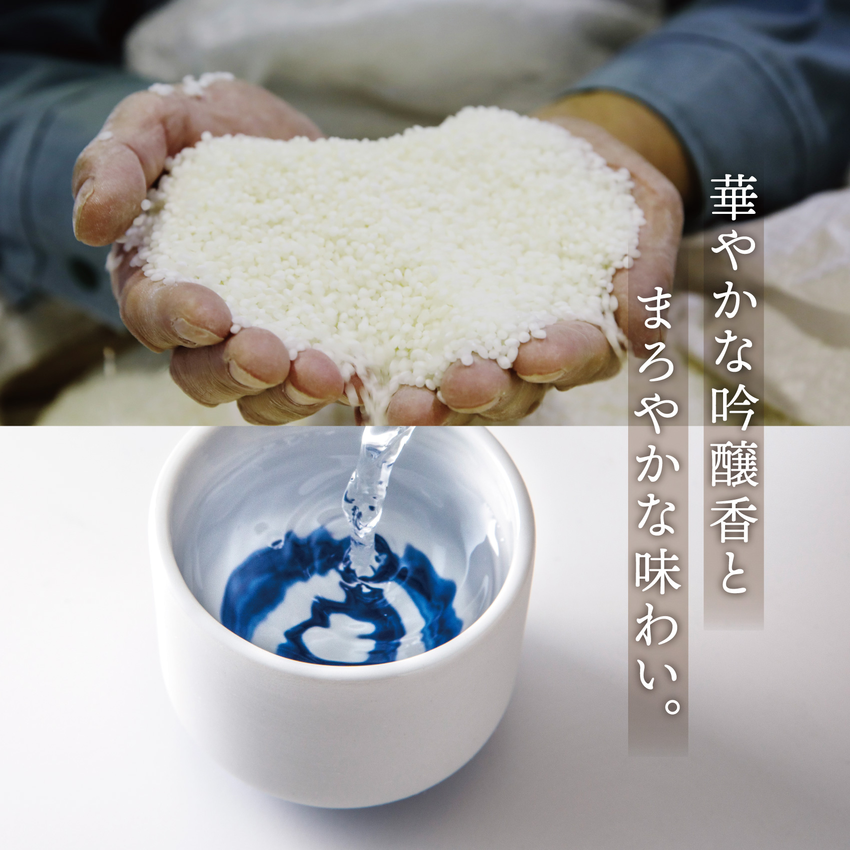 【数量限定】宮﨑本店「宮の雪 大吟醸 720ml」