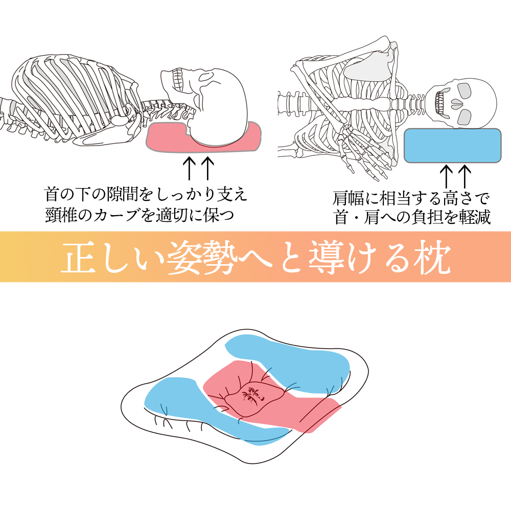 創業1926年 百年の伝統を持つ名門整体院・仲野整體（なかのせいたい）が作り上げた理想の寝姿勢をつくる枕│枕 まくら ストレートネック 横向き 姿勢矯正 姿勢が良くなる 寝具 睡眠の質向上 肩こり 首こり トライコア オリジナル 整体 カイロプラクティック 三重県 四日市市