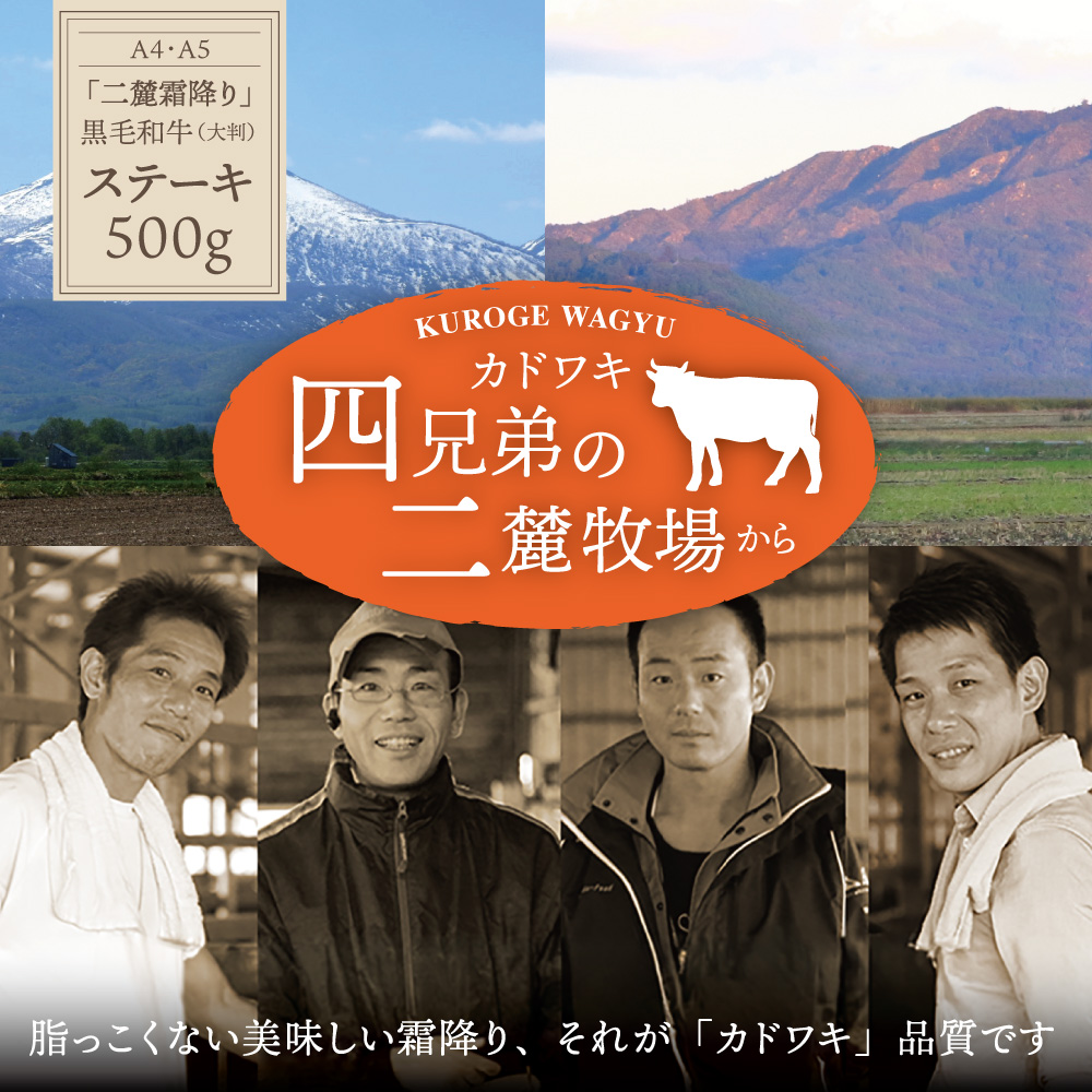 A4･A5「二麓（にろく）霜降り」黒毛和牛（大判）ひとくちステーキ 500g（250g×2） ニセコ連峰と鈴鹿山脈、二つの麓（ふもと）で育てた脂の質にこだわった美味しい霜降りをリーズナブルに│牛肉 国産牛 ブランド牛 冷凍便 年末年始 お正月 焼肉 BBQ 三重県 四日市市 ふるさと納税