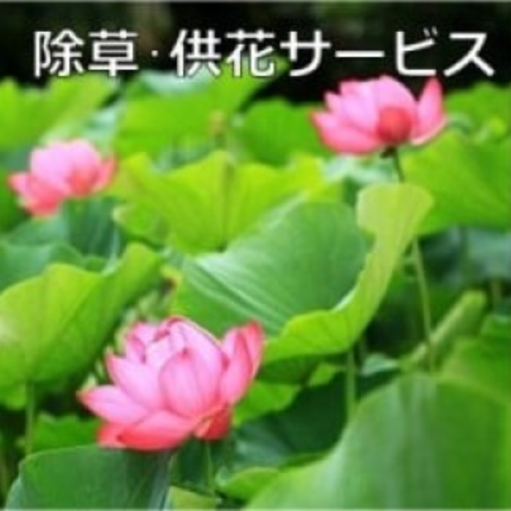 ご先祖見守りサービス：除草・供花サービス～お墓の管理をお手伝いします～